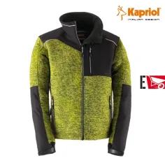 Kapriol Pile Dynamic